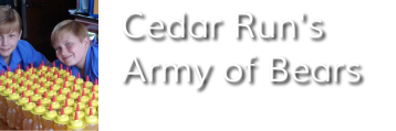 Cedar Run Bees